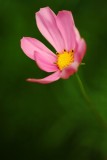 erDSCF3294.jpg