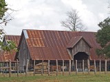 Now in 2007