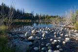 Pond Moose-Wilson Road