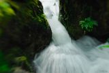 Waterfall - Singapore Botanical Gardens