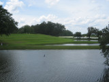 Middleton Plantation View