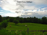 Vermont Horse Farm