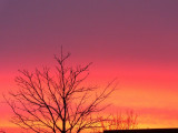 Dawn skyline - March 19-2007