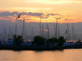 Sunrise at Port Credit Marina