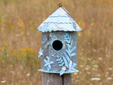 The fence post bird houses at Stokes Bay, Bruce Peninsula, Ontario