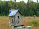 The fence post bird houses at Stokes Bay, Bruce Peninsula, Ontario