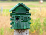 The fence post bird houses at Stokes Bay, Bruce Peninsula, Ontario