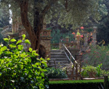Public Gardens in Taormina