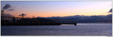 Bay Bridge Pano