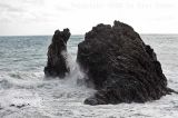 IMG_0255.jpg