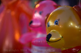IMG_0909.jpg
