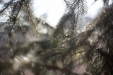 IMG_1567.jpg