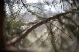 IMG_1568.jpg