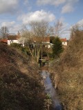 Pleshey  Castle  moat