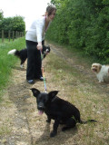 Jamie,with Snoopy and Lady,on Maxs first walk.