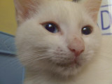 Marie,up close.