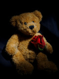 Kodak Picture Of The Day: Teddy Bear with Rose