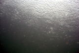 Surface rain drops