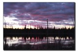 Peterborough Sunset