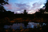 pond at night