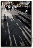 Group Shadow Camden Yards