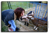 New Friends
