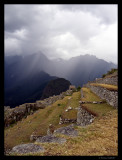 Agricultural terraces, Machu Picchu