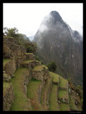 Agricultural terraces, Machu Picchu