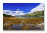 Loch Duich estuary, Wester Ross West Scotland UK