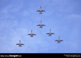 【中華民國空軍雷虎特技小組】 / Thunder Tiger Aerobatic Team Of ROC Airforce