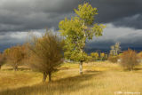Stormy Montana Sky