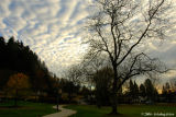 D200-2006-11-14_152.jpg