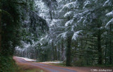 D200-2006-11-27_044.jpg