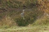 D2x2006-12-06_284.jpg