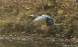 D2x2006-12-06_288.jpg