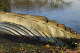 D2x2006-12-06_311.jpg