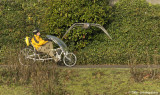 D2x2006-12-06_318.jpg