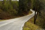 D2x2006-12-11_112.jpg