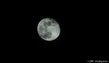 January Moon - handheld