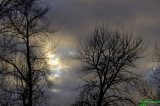 D2x2007-02-18_129.jpg