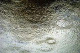 D2x2007-04-11_037.jpg