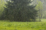 Caught in a downpour