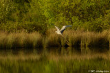 D2x2007-04-14_139.jpg