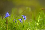 D2x2007-04-18_150.jpg