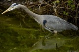 D2x2007-04-18_116.jpg