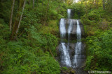 Royal Terrace Falls from the bridge