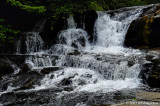 D2x2007-06-22_121.jpg