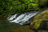 D2x2007-06-22_298.jpg