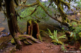 D2x2007-06-22_366.jpg