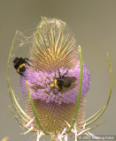 D2x2007-07-16_277a.jpg
